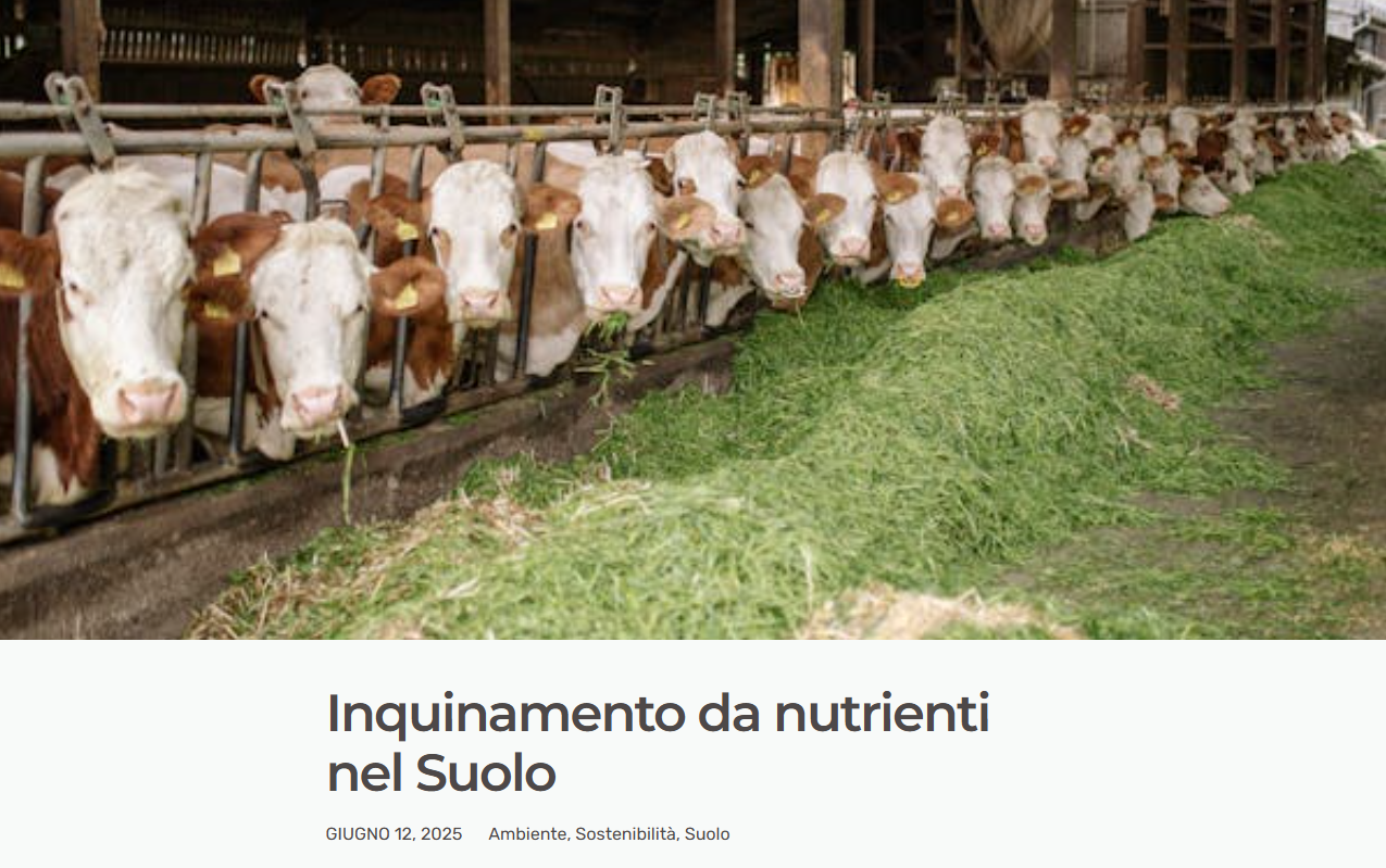 Screenshot dell'articolo su danielacolmenares.it
